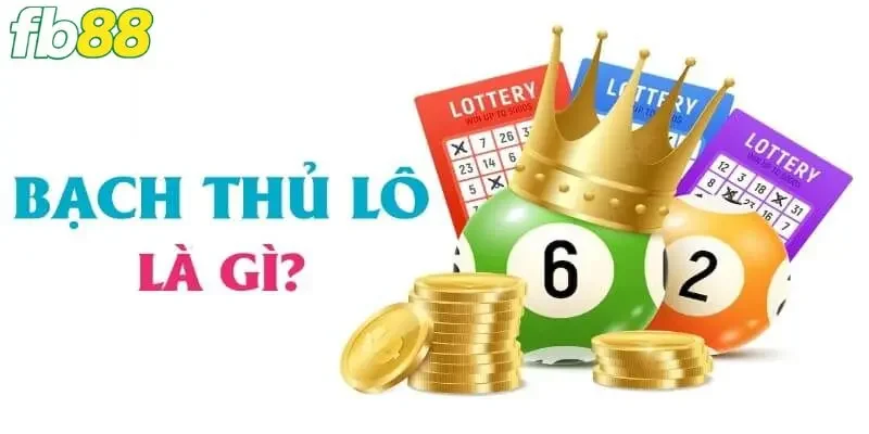 Bạch thủ lô là gì